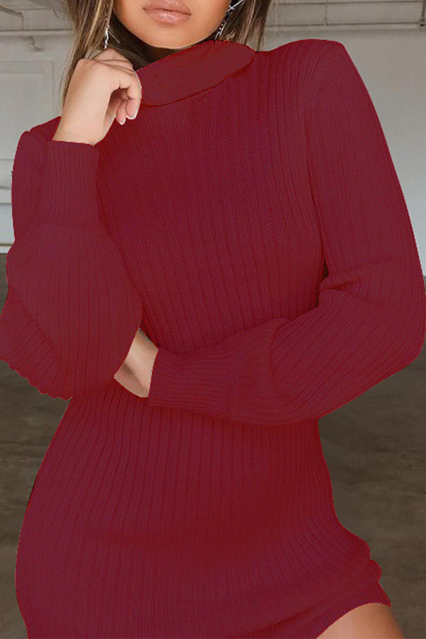 Lovely Casual Turtleneck Wine Red Mini Dresslw Fashion Online For